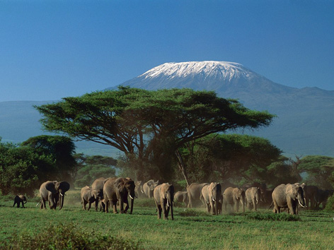  29 – Will Father Christmas find us at Mount Kilimanjaro? 